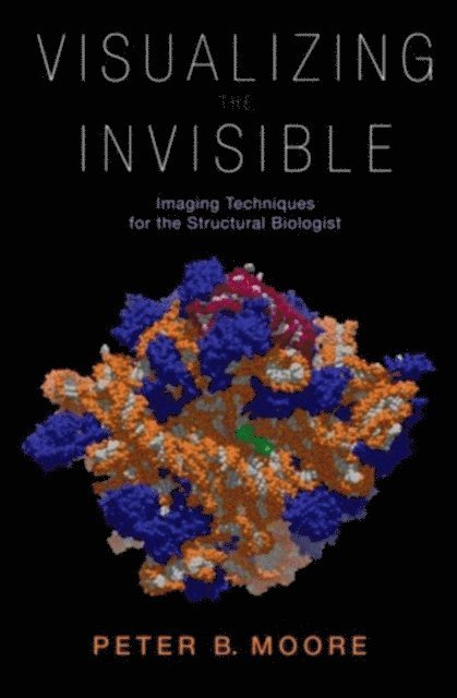 Peter Moore - Visualizing the Invisible, E-bok