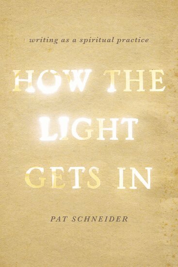 Pat Schneider - How the Light Gets In, Häftad. Tillgänglighet: Lägg i varukorg