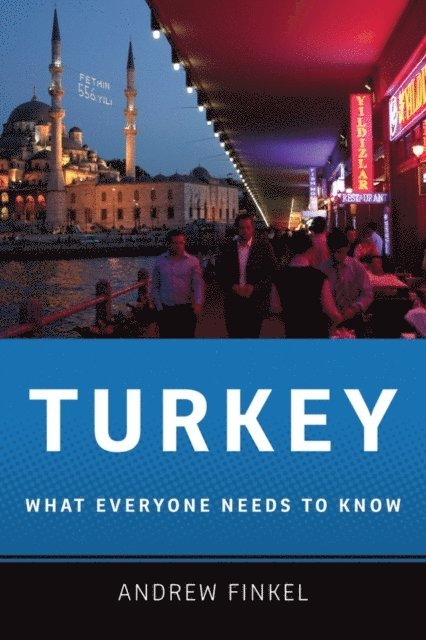 Andrew Finkel - Turkey, E-bok