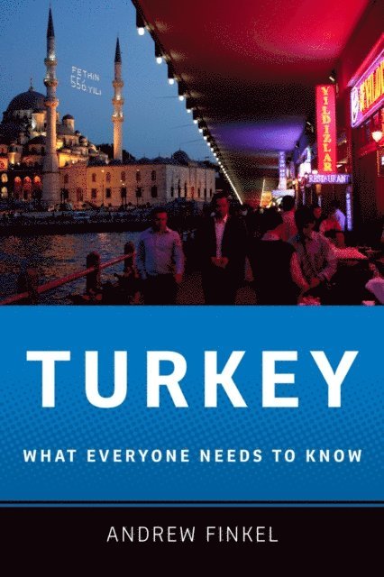 Andrew Finkel - Turkey, E-bok