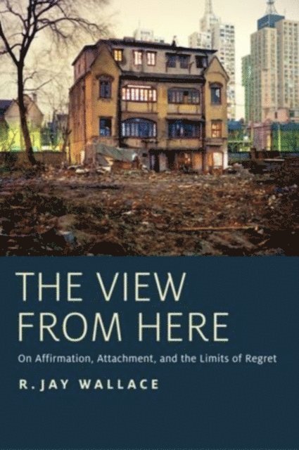 R. Jay Wallace - View from Here, E-bok