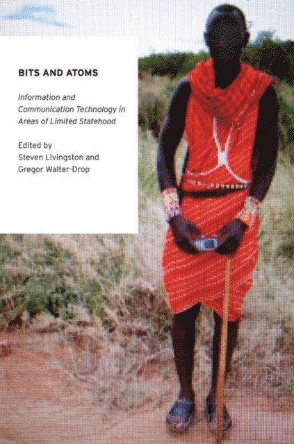 Gregor Walter-Drop, Steven Livingston - Bits and Atoms, E-bok