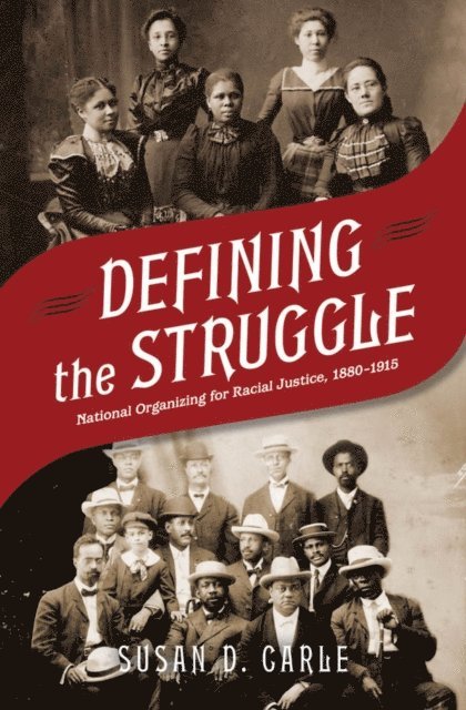 Susan D. Carle - Defining the Struggle, E-bok