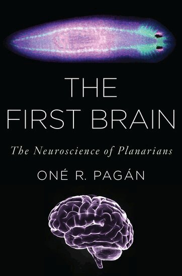 The First Brain