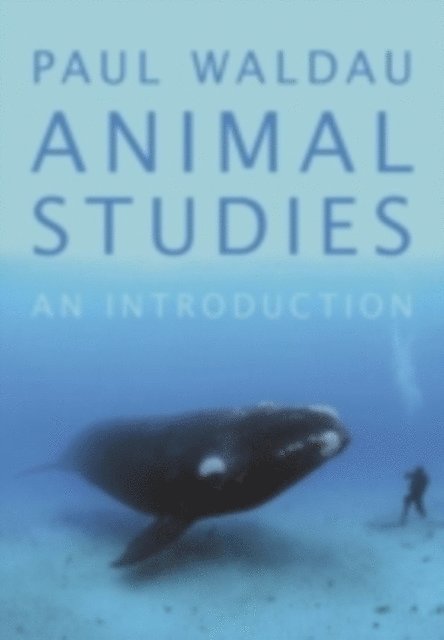 Paul Waldau - Animal Studies, E-bok