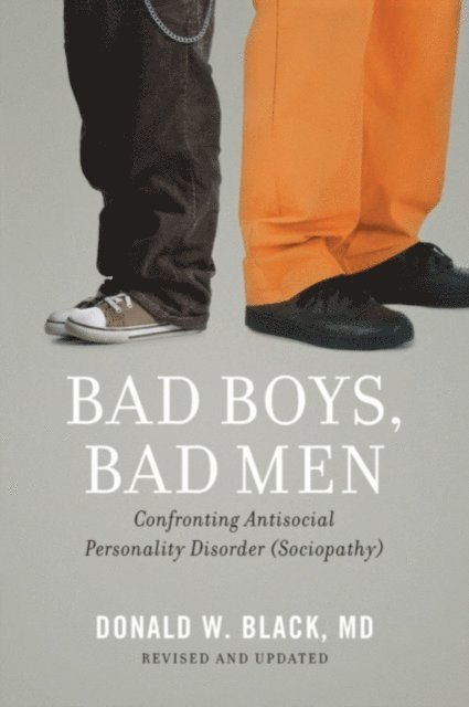 Donald W. Black - Bad Boys, Bad Men, E-bok