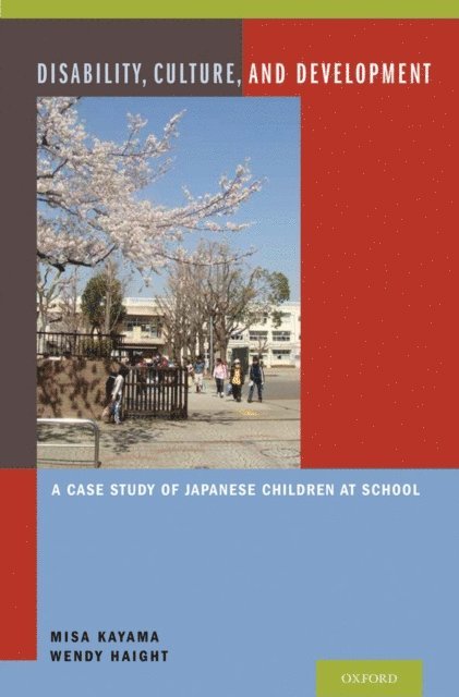Wendy Haight, Misa Kayama - Disability, Culture, and Development, E-bok