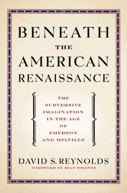 David S. Reynolds - Beneath the American Renaissance, E-bok