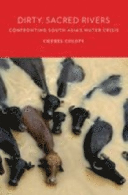 Dirty, Sacred Rivers