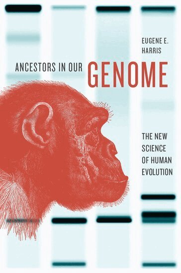 Eugene E. Harris - Ancestors in Our Genome, Inbunden