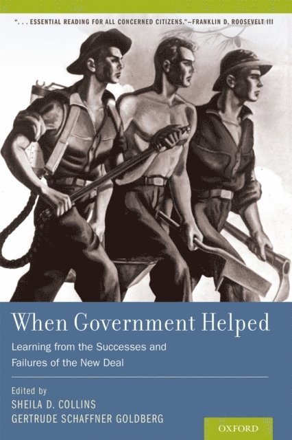 Gertrude Schaffner Goldberg, Sheila D. Collins - When Government Helped, E-bok