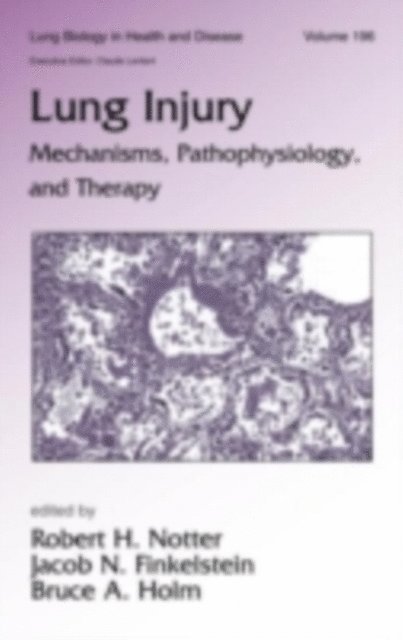 Bruce Holm, Jacob Finkelstein, Robert H. Notter - Lung Injury, E-bok