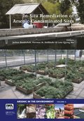 In-Situ Remediation of Arsenic-Contaminated Sites