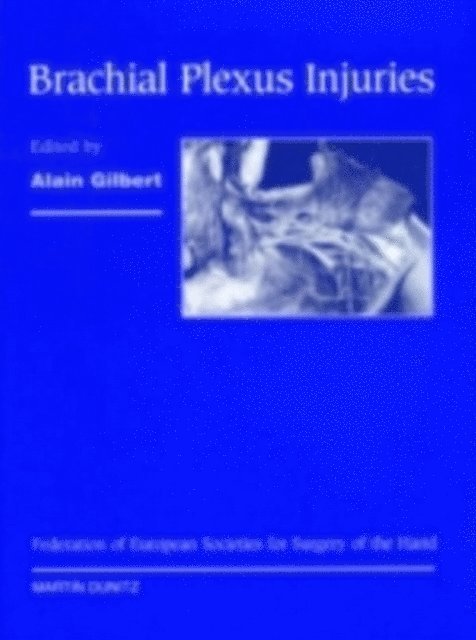 Alain Gilbert - Brachial Plexus Injuries, E-bok