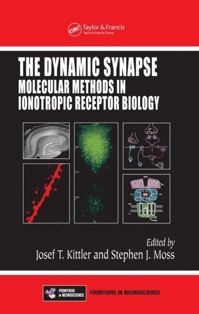 Stephen J. Moss, Josef T. Kittler - Dynamic Synapse, E-bok