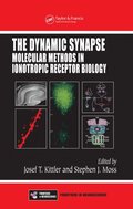 Dynamic Synapse