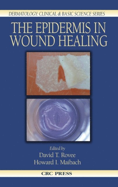 Howard I. Maibach, David T. Rovee - Epidermis in Wound Healing, E-bok