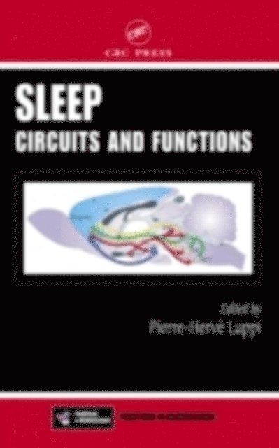 Pierre-Herve' Luppi - Sleep, E-bok