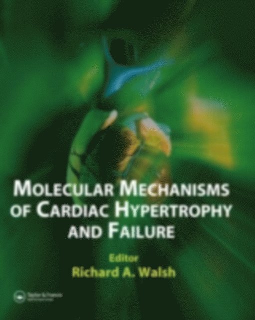 Richard A. Walsh - Molecular Mechanisms of Cardiac Hypertrophy and Failure, E-bok