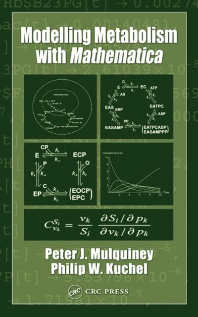 Philip W. Kuchel, Peter Mulquiney - Modelling Metabolism with Mathematica, E-bok