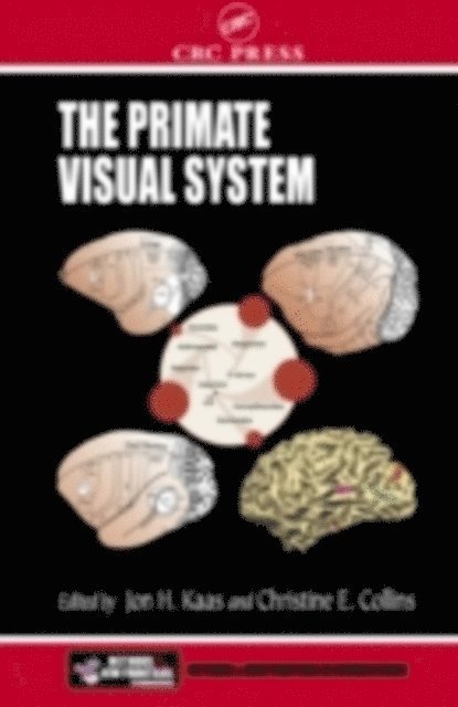 Christine E. Collins, Jon H. Kaas - Primate Visual System, E-bok