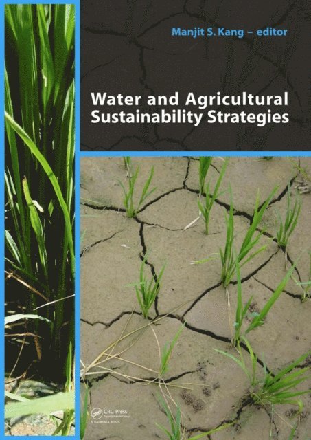 Manjit S Kang - Water and Agricultural Sustainability Strategies, E-bok