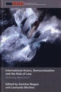 International Actors, Democratization and the Rule of Law