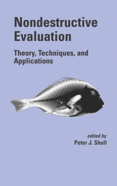 Peter J. Shull - Nondestructive Evaluation, E-bok