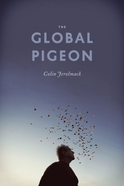 Colin Jerolmack - Global Pigeon, E-bok