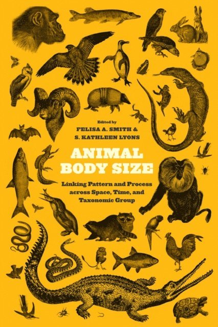 S. Kathleen Lyons, Felisa A. Smith - Animal Body Size, E-bok