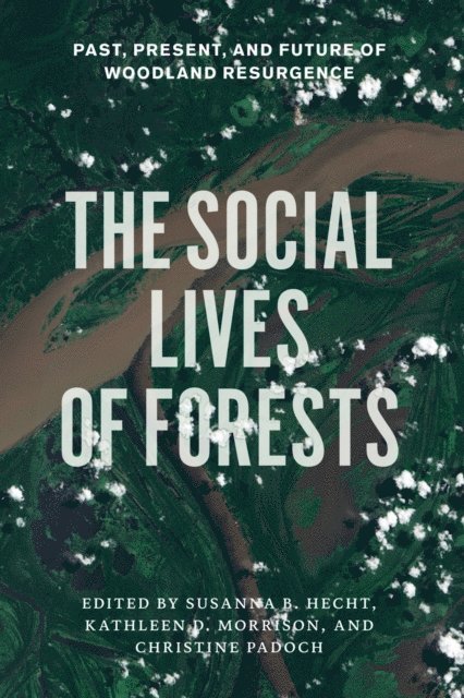 Christine Padoch, Kathleen D. Morrison, Susanna B. Hecht - Social Lives of Forests, E-bok