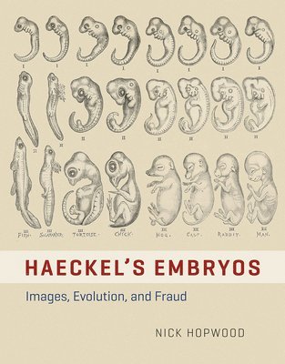 Nick Hopwood - Haeckel's Embryos, Inbunden. Tillgänglighet: Tillfälligt slut