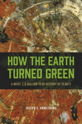 How the Earth Turned