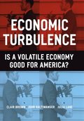 Economic Turbulence