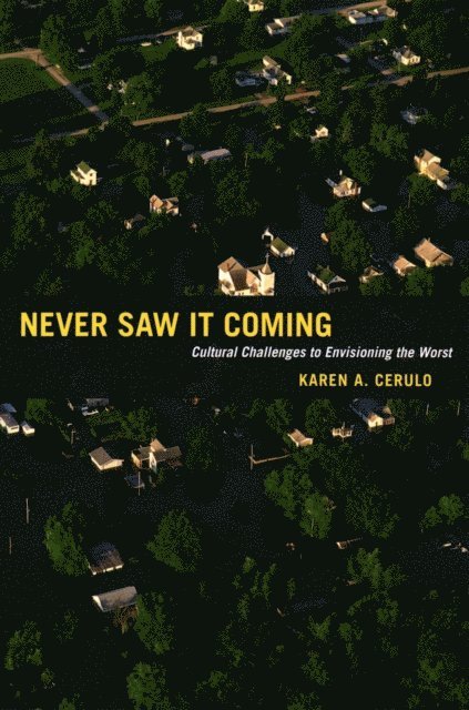 Karen A. Cerulo - Never Saw It Coming, E-bok