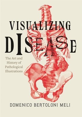 Domenico Bertoloni Meli - Visualizing Disease, Inbunden