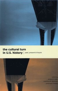 Cultural Turn in U. S. History