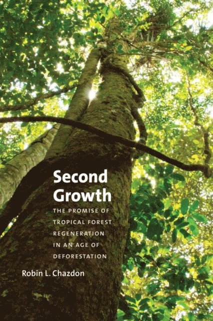 Robin L. Chazdon - Second Growth, E-bok