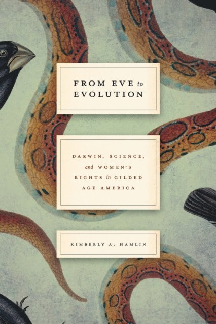 Kimberly A. Hamlin - From Eve to Evolution, E-bok