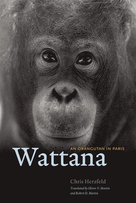 Chris Herzfeld - WATTANA, Inbunden
