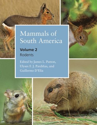 James L. Patton, Ulyses F. J. Pardinas, Guillermo D¿Elia - Mammals of South America, Volume 2, Inbunden