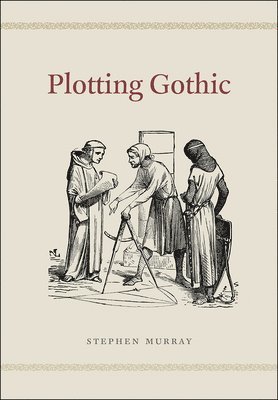 Stephen Murray - Plotting Gothic, Inbunden
