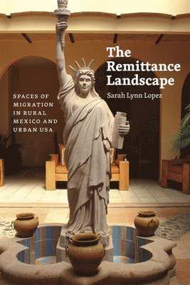 Remittance Landscape