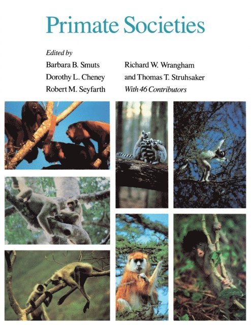 Richard W. Wrangham, Robert M. Seyfarth, Dorothy L. Cheney, Barbara B. Smuts - Primate Societies, E-bok