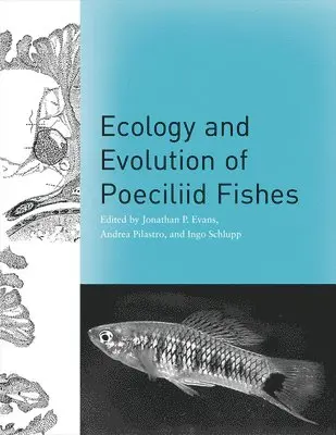 Jonathan P. Evans, Andrea Pilastro, Ingo Schlupp - Ecology and Evolution of Poeciliid Fishes, Inbunden. Tillgänglighet: Tillfälligt slut