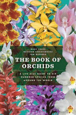 Mark W. Chase, Maarten J. M. Christenhusz - Book of Orchids, Inbunden
