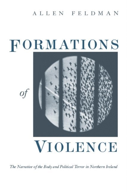 Allen Feldman - Formations of Violence, E-bok