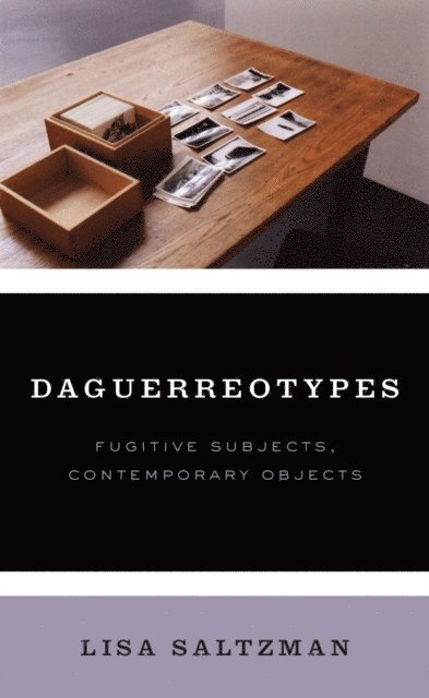 Lisa Saltzman - Daguerreotypes, E-bok. Tillgänglighet: Lägg i varukorg