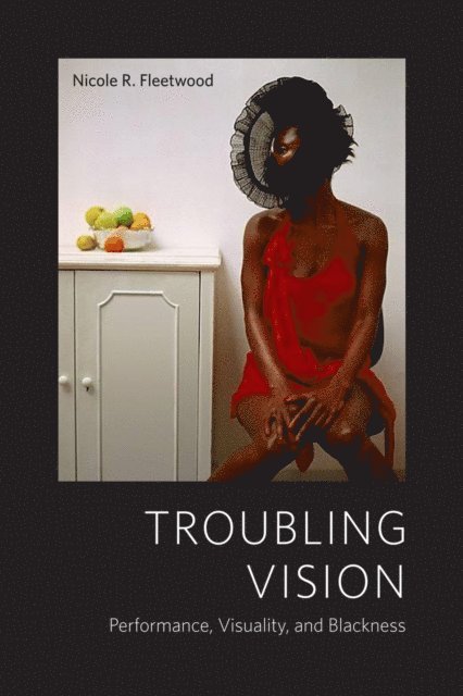 Nicole R. Fleetwood - Troubling Vision, E-bok