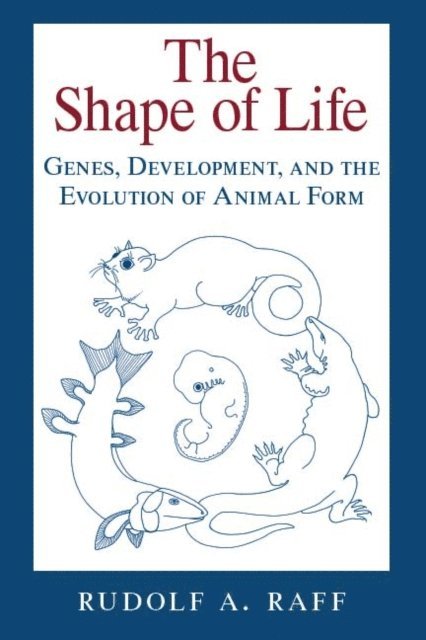 Shape of Life